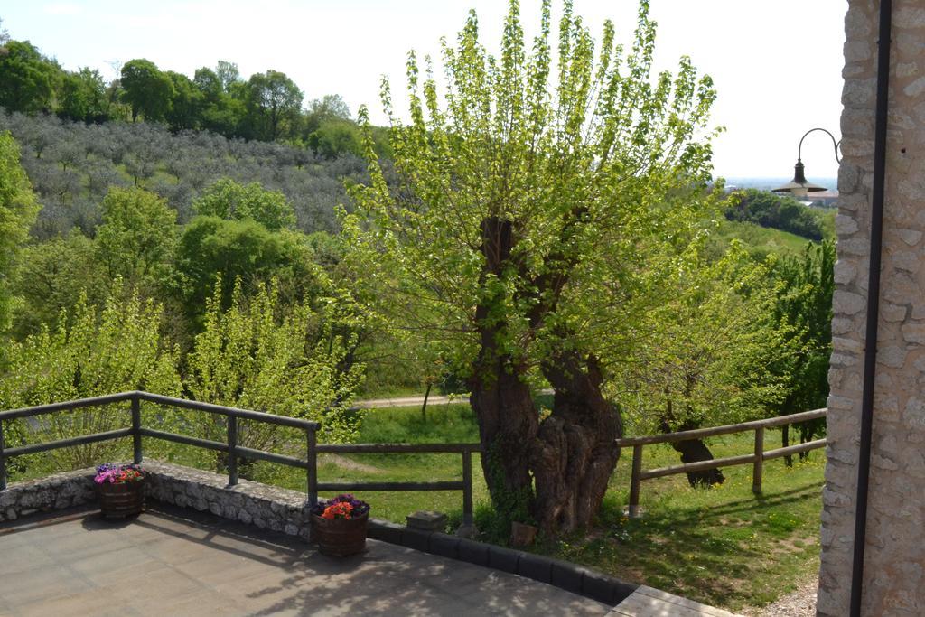 Casale La Rocchetta Bed & Breakfast Lonigo Ngoại thất bức ảnh