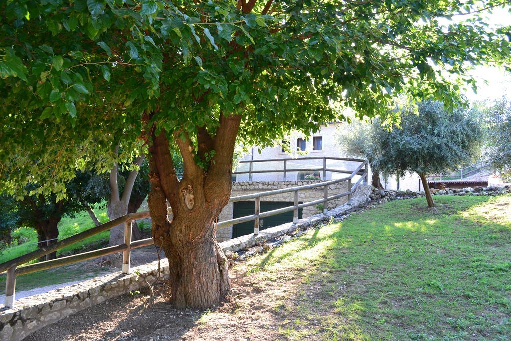 Casale La Rocchetta Bed & Breakfast Lonigo Ngoại thất bức ảnh